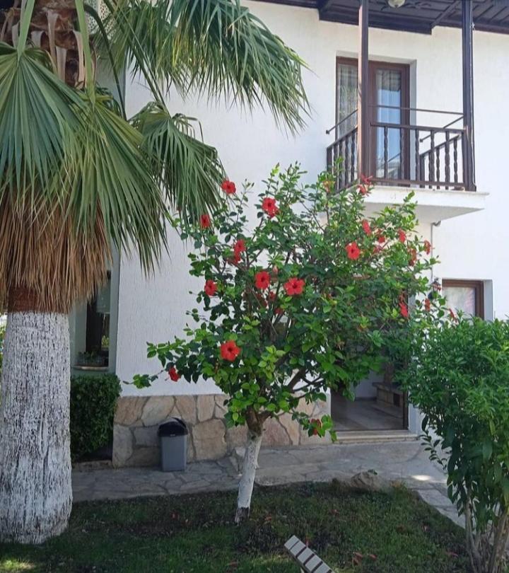 Nehir Dalyan Boutique Otel Ortaca  Exterior foto